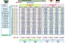 ESPECIAL // Gols són amors: CF Palamós