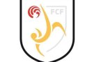 La Federació Catalana de Futbol, en vaga!