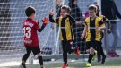 L’FCF activa un qüestionari sobre aspectes esportius i de competició